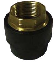 1.25" Socket x 1.25" Brass FPT - Fusion Coupling Female Adapter